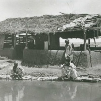 02201904 muslimsaustralia