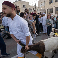 200 x 200 image 13 copy