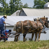 200 x 200 image 15 copy