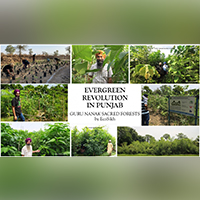 20201115 sustainable