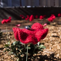 20211115mandatoryvvaccines